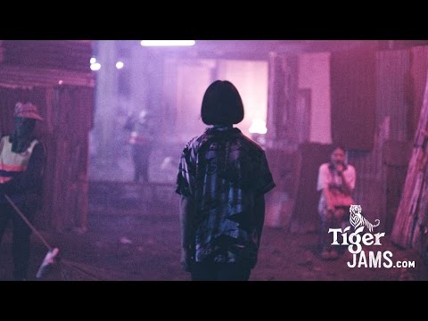 TIGER JAMS: Monkey Business x Polycat x Dudesweet