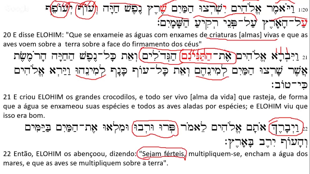 5779 [01] - Bereshit (b) - No Princípio (Parte 2)