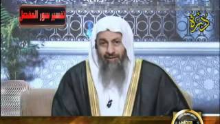 منوعات 20 تفسير سور المفصل قناة درة سورة المعارج 10/6/2011