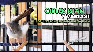 Download lagu CIBLEK SEMI GACOR AMPUH UNTUK PANCINGAN CIBLEK BAHAN DAN MASTERAN CIBLEK MACET SEKETIKA NYAUT mp3