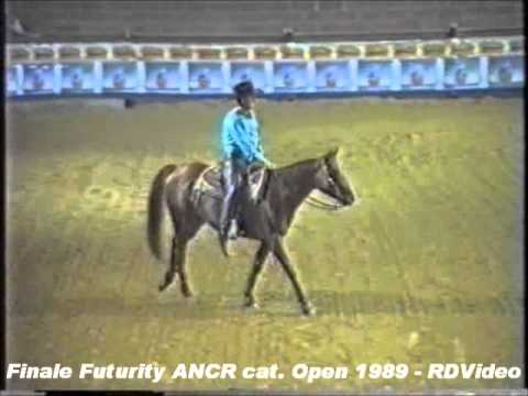 RDVideo - Finale del Futurity ANCR 1989 cat. Open - video 2 di 5