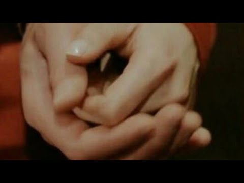 Miran & Reyyan / ReyMir - Holding Hands (Compilation) - Can't Help Falling In Love With You - Hercai