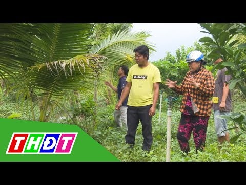 Mạnh dạn chuyển đổi cây trồng, nông dân làm giàu trên nền đất lúa