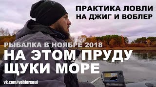Щука в ноябре на спиннинг