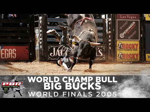 WORLD CHAMPION BUCKING BULL: Big Bucks | 2005