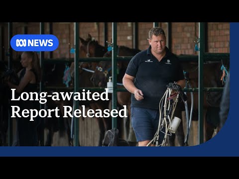 Charges laid against Tasmanian racing participants, including lead harness trainer | ABC News