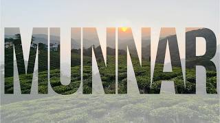 Munnar, Kerala | Exploring the Tea Hills & Hidden Wildlife