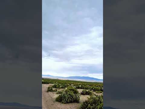 Colchane, Región de Tarapacá, Chile.