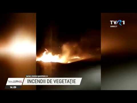 Flăcări pe o distanță de aproape 4 km, pe câmpurile dintr-o localitate din Dâmbovița
