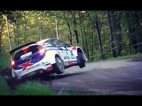 24° Rally del Taro 2017| CRASHES & MISTAKES [HD]