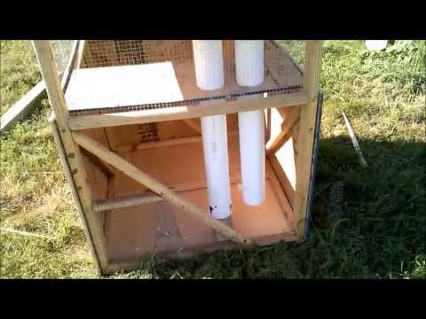 Tour of a Miniature Johnny House, Quail Pen