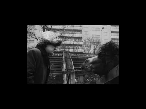 Tõnu Tepandi - "Milline mees ma olen" (Virve Aruoja ja Jaan Toomingu filmist "Lõppematu päev"  1971)