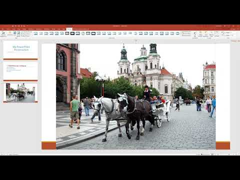 Intro to PowerPoint S2024