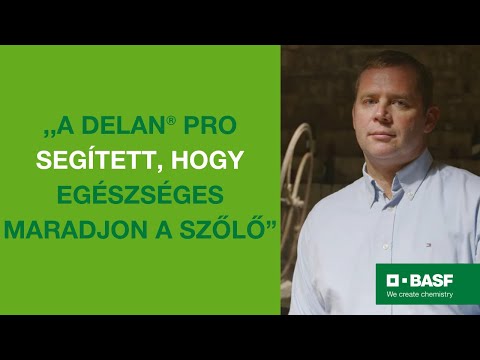 Delan® Pro tapasztalatok - Urbán Péter