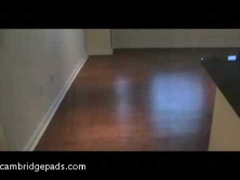 Great Cambridge MA Apartment For Rent