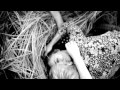 Ivan Dorn.360 (1).mp4 