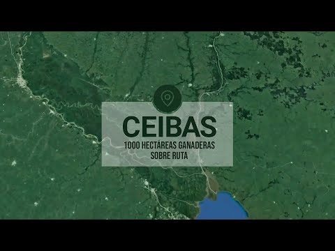 1000 hectáreas en CEIBAS - Entre Ríos