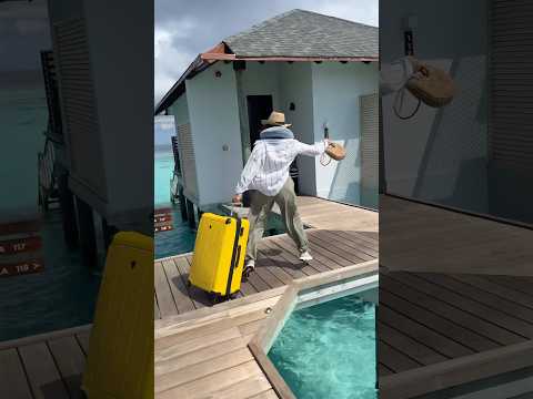 I think I finally found my paradise… 🌴💙