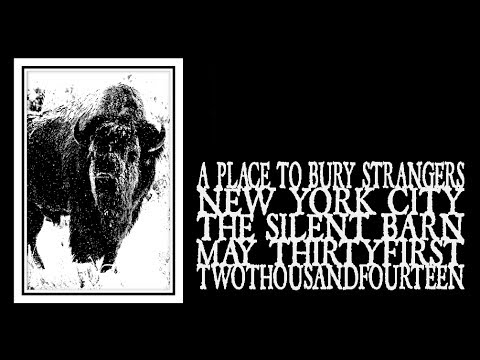 A Place To Bury Strangers - Silent Barn 2014