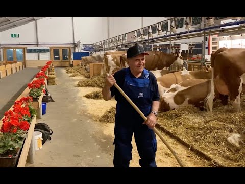 Hinter den BEA-Kulissen: Die Nachtwächter sorgen für saubere Kühe