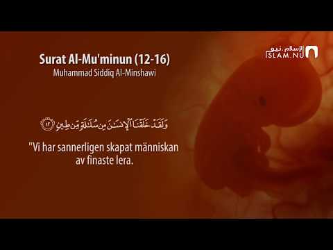 Surah Al-Muminun (12-16) - Muhammad Siddiq Al-Minshawi