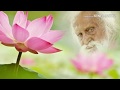 Sri Phulaji Baba Song