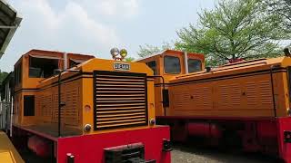 【嘉義蒜頭糖廠】一分鐘vlog ，與爸媽的時光