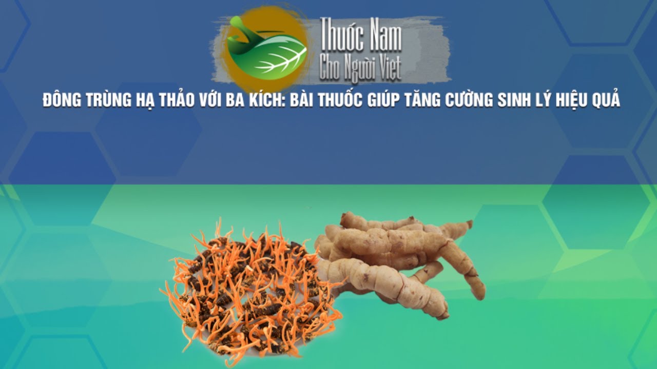 Cải thiện sinh lý nam giới với thảo dược Đông trùng hạ thảo