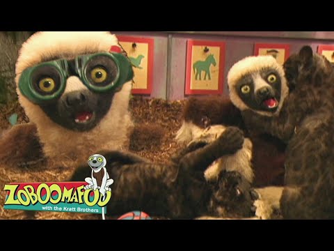 Eye Spy | Zoboomafoo - WildBrain | Movies for Kids