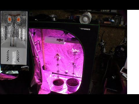 50W Led Chip Full Spectrum build finished