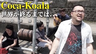 [推薦] 美好的國內翻唱團-Coca-Koala可樂熊樂團