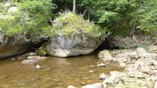 preview picture of video 'Gandy Creek exiting the Sinks of Gandy, West Virginia'