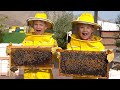 Diana and Roma Learn about Bees, HATTA Honey Bee Garden Tour - Fun family trip
