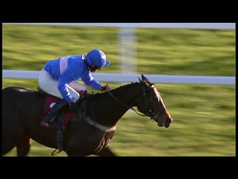 2006 Hennessy Gold Cup - State Of Play - Racing TV