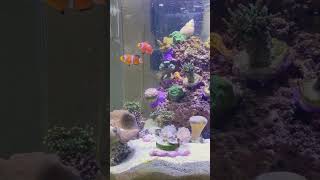 ペア成立した気がします🌸泳ぎがシンクロ✨