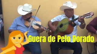 Resultado de imagen para huapangueros arribeños