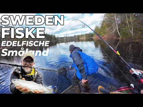 - Sweden Fiske - Angeln auf Edelfische im Småland / Salmoniden / Forellen in Schweden