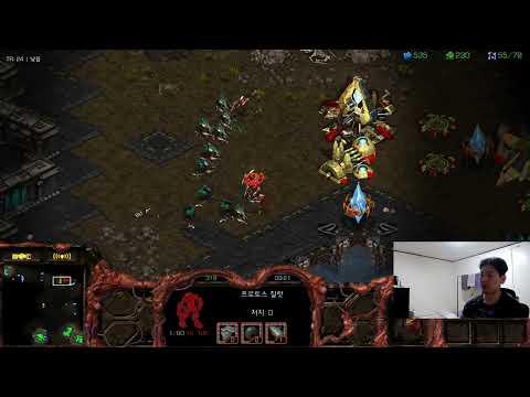 【11.1.26】 SC:R 1v1 (FPVOD) True (Z) vs (P) 【Map: Metropolis】