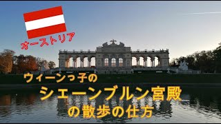 オーストリア ウィーンっ子のシェーンブルン宮殿の散歩の仕方をご紹介します #オーストリア #ウィーン #シェーンブルン宮殿