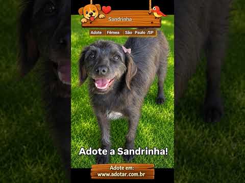 Vídeo de Sandrinha 
