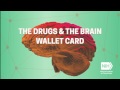 Drugs & the Brain Wallet Card
