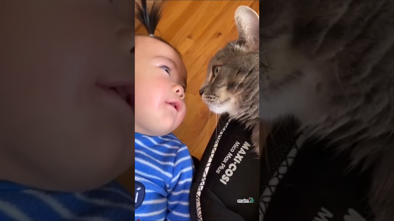 ネッコさん見て癒やされたら寝ろwww #動物 #ネコ