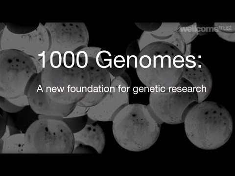 1000 Genomes: a new foundation for genetic research - Sanger Institute