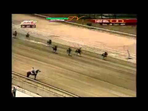 LA RINCONADA 2 CARRERA, DOMINGO 24 DE MAYO DEL 2015