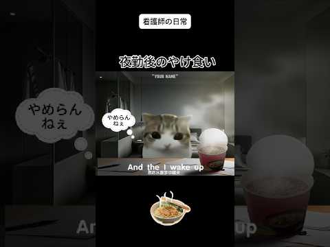 看護師が、医療・福祉を猫ミームにします イメージ1