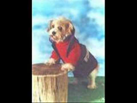 ERNESTO D´ALESSIO "CON EL ALMA EN UN CAJON"