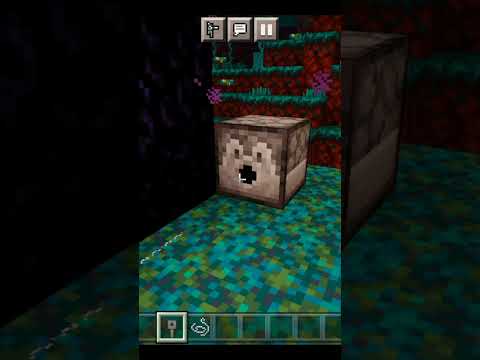 Ultimate Minecraft Nether Trap You Won't Believe!