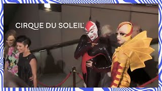 OVO by Cirque du Soleil - 2012 Helpmann Awards