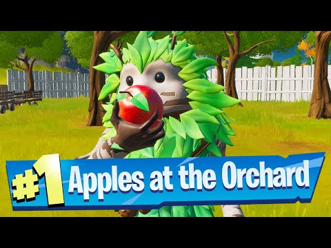 download lagu mp3 mp4 The Orchard, download lagu The Orchard gratis, unduh video klip The Orchard