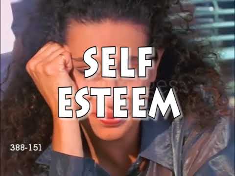 Vanegood's Introvert and Extrovert Facts (Stock Footage Remake) (500 SUB SEPCIAL!)